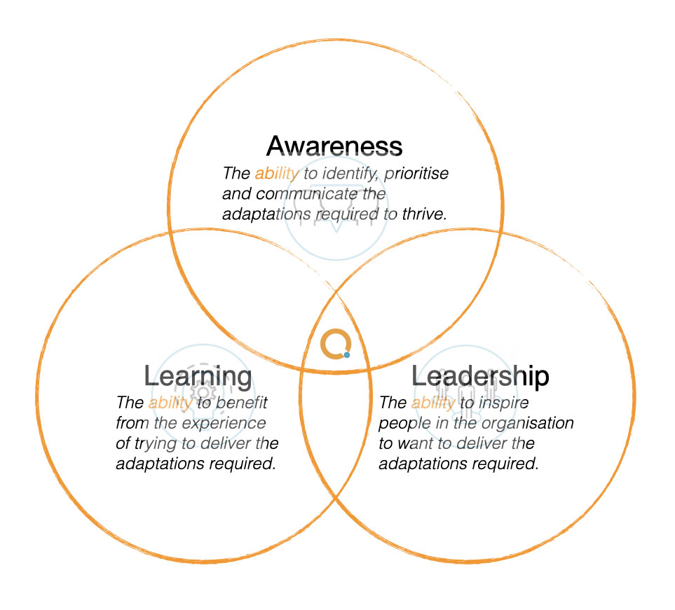 Diagram of Adaptive Capability